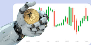 Dashboard view of the Wealth-Novallio 3.2 crypto exchange platform